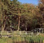 Kurpark Dierhagen Strand