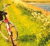 Fahrradfahren in der herrlichen Natur